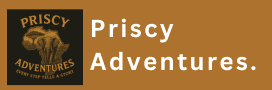 Logo Priscyadventures