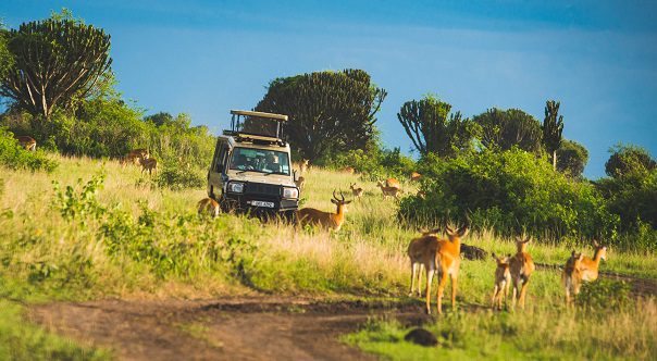 Uganda Safari, Priscy Adventures