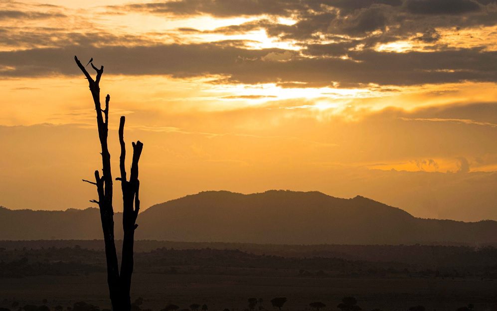 IMG Sustainability Statement, Priscy Adventures